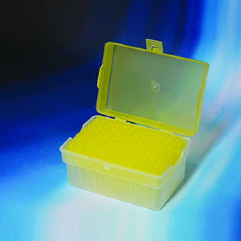 Micropipette Tips In Rack 5-200ul