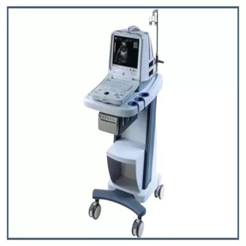Veterinary Ultrasound