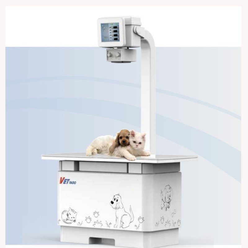 Veterinary X-Ray